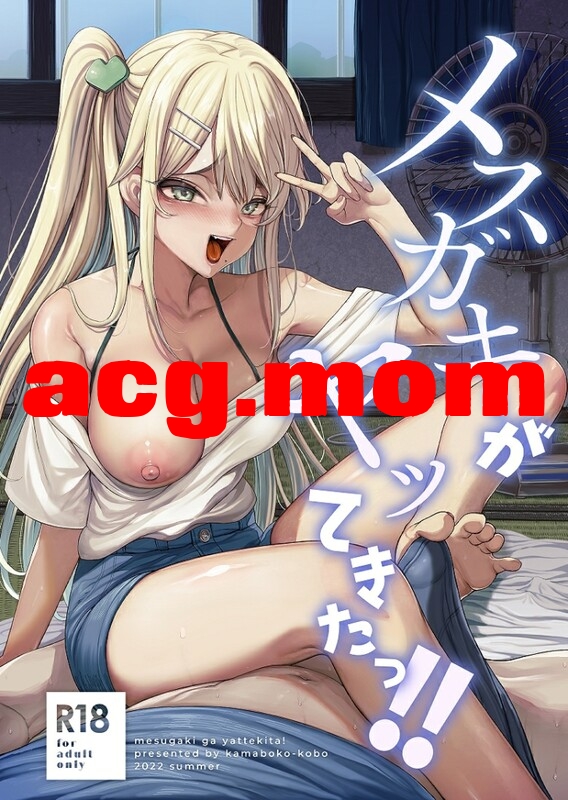 [カマボコ工房 (釜ボコ)] 28本汉化合集 [2.37G/FM直连/FM转UC  夸克]-第5张-漫画-风花雪月-ACG交流分享论坛