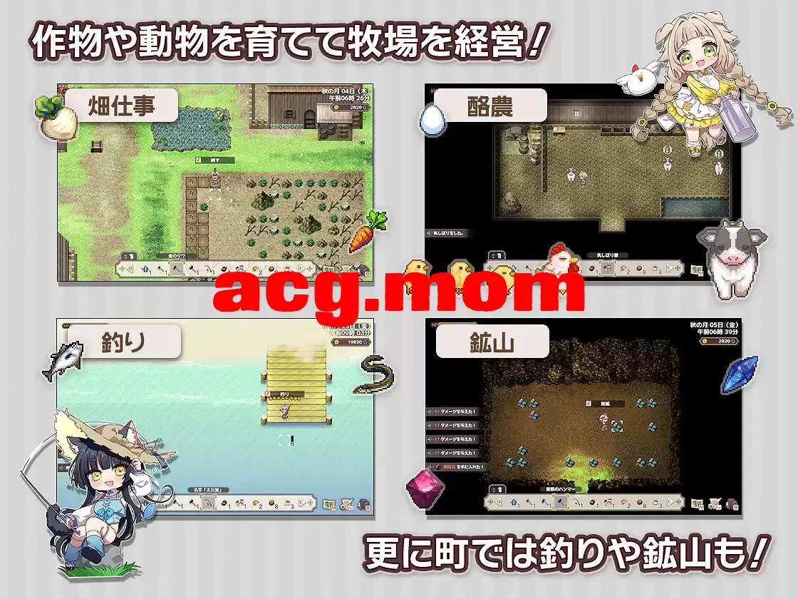 6.webp