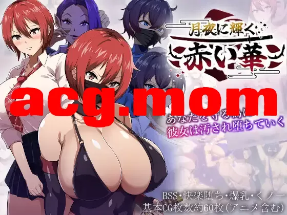 [新作/RPG/deepseek汉化]月夜に輝く赤い華[1GM/百度]-第2张-游戏-次元小屋-ACG交流分享论坛