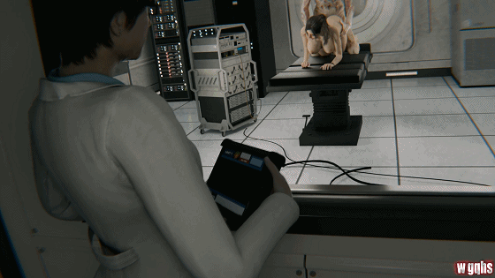 6.gif