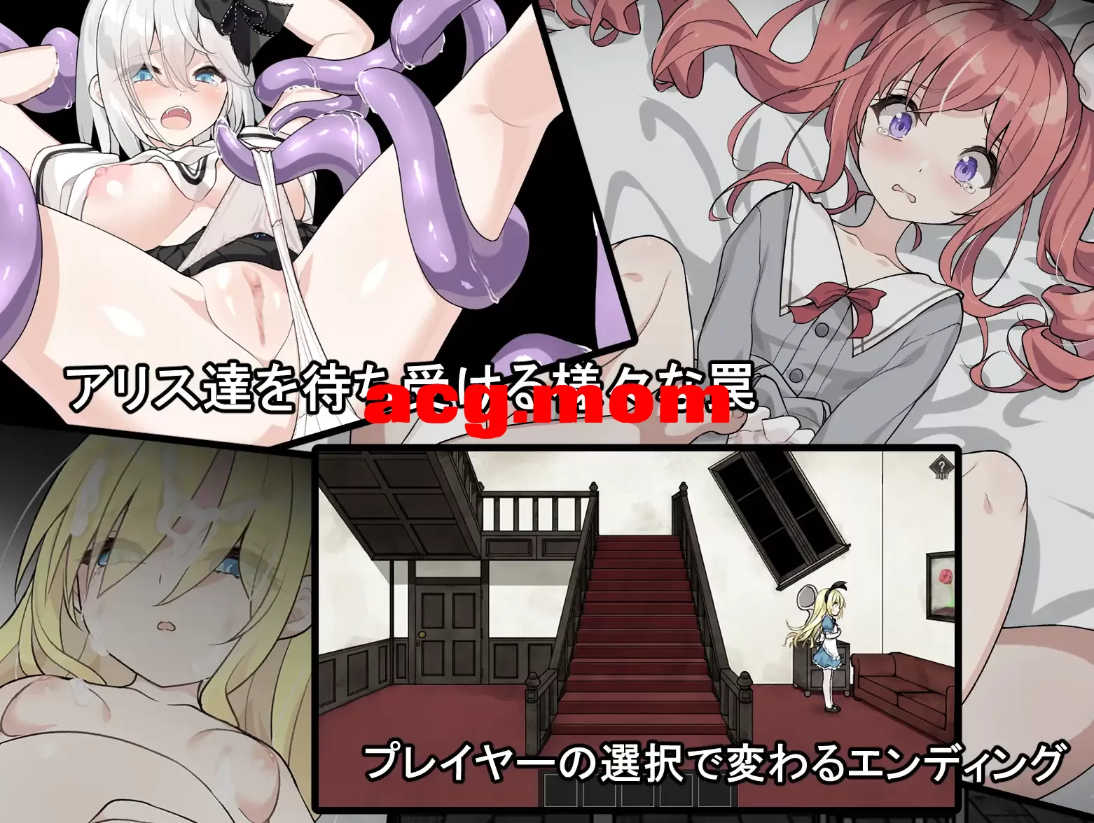 4.webp